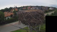 Miniatiūra