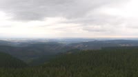 Schneekopf - Selva di Turingia