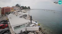 Novigrad - Porporela