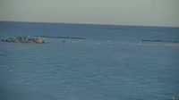 Kreta - Elafonisi