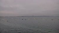 Plouézec - Port Lazo