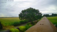 Fredenbeck - Ordenskamp