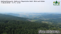 Maibrunn - Waldwipfelweg - Foresta Bavarese