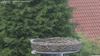Ludwigsburg - Gandrai
