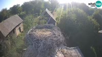 Jasenovac - Lonjsko polje - Gandrai