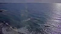 Orihuela Costa - Playa Cala Cerrada, Playa de la Zenia