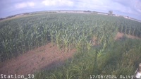 Eboli - Borgo Cioffi