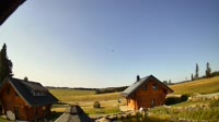 Oberharz am Brocken - Tanne