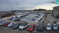 Novigrad - Porporela Marina