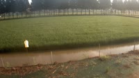 Jurong - Pola uprawne