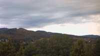 Bad Tabarz - Burgholz