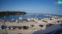 Savudrija - Marina