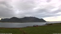 Lofotenas - Gimsøya - Lillevik