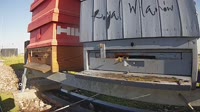 Pszczoły