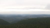 Schneekopf - Las Turyński