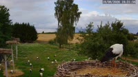 Kozubszczyzna - Bociani Azyl