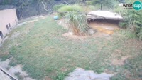 Liubliana - ZOO