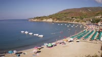 Elba - Cavoli