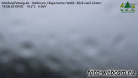 Maibrunn - Las Bawarski