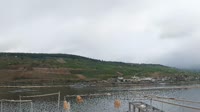 Bingen am Rhein - Reino upės vaizdas