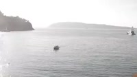 Kerkyra - Kalami