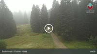 Bodenmais - Chamer Hütte