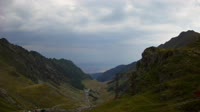 Transfegerešanas