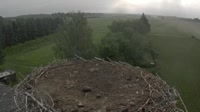 Frankfurtas prie Oderio - Lossow - Gandrai