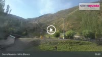 Sierra Nevada - Mirlo Blanco
