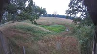 Hofgeismar - Sababurg Zoo - Elch-Lodge