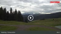 Waidring - Schwarzlofer