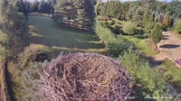 Strzelce - Bociany