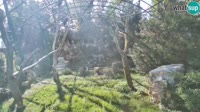 Zagrebas - Zoologijos sodas - Grifai