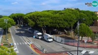Rosolina Mare - Centras
