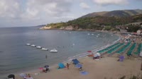 Elba - Cavoli