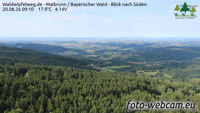 Maibrunn - Waldwipfelweg - Bavarijos miškas