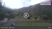 Sierra Nevada - Mirlo Blanco