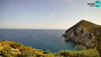 Ponza - Cala Cecata
