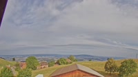 Root - Vista panorámica