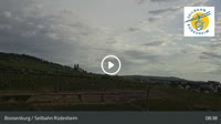 Rüdesheim am Rhein