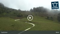 Saalfelden - Sommerrodelbahn