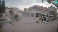Miniatura