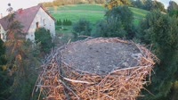 Miniaturansicht