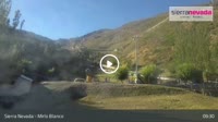 Sierra Nevada - Mirlo Blanco