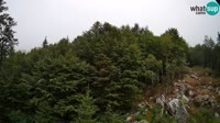 Tolminske Ravne - Planina Razor - Vogel
