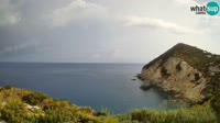 Ponza - Cala Cecata