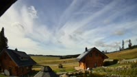 Oberharz am Brocken - Tanne