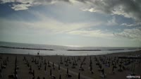 Vignette