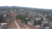 Markdorf - Störche