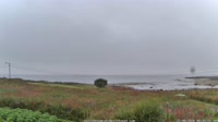 Laukvik